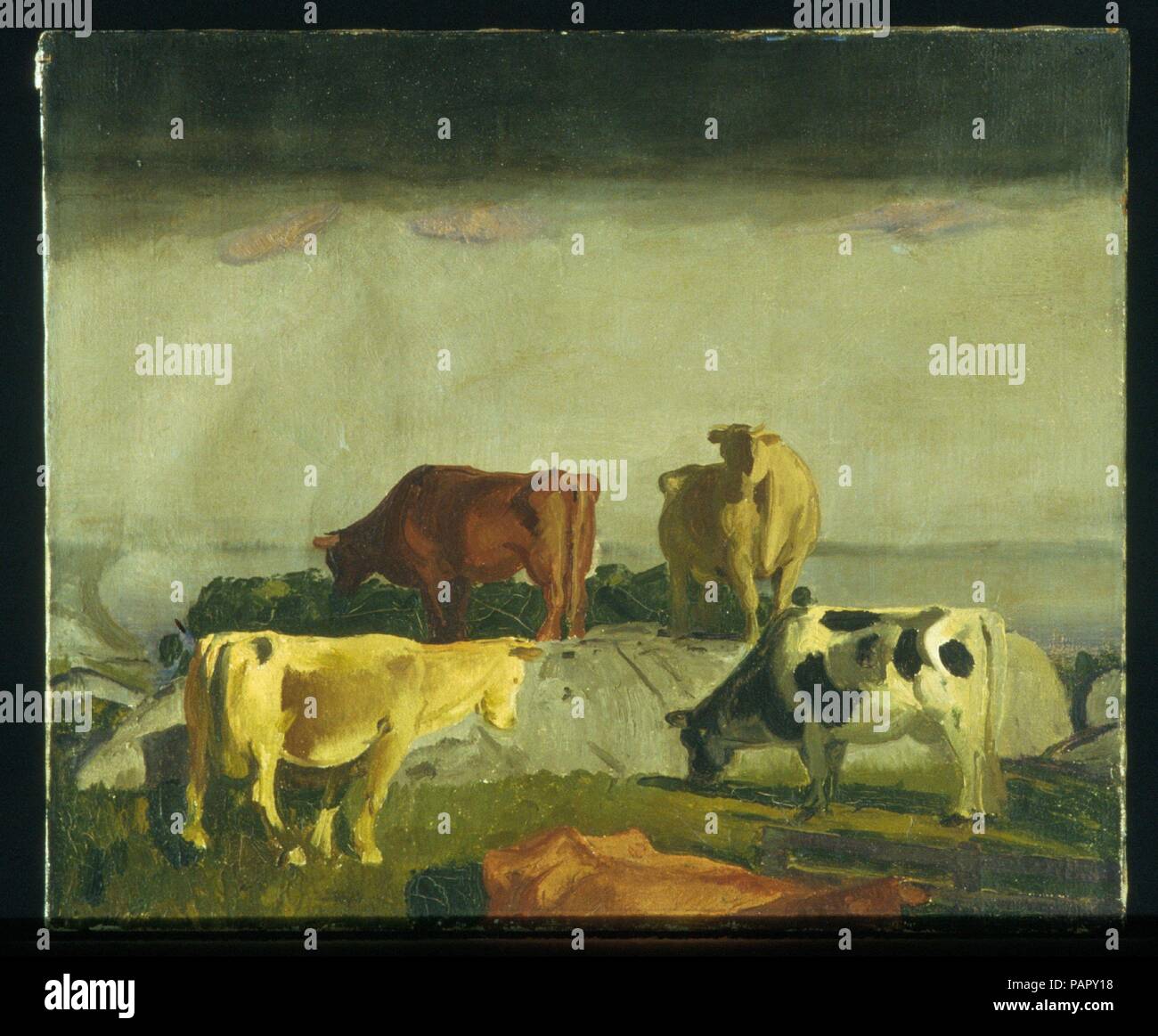 Cinco vacas. Artista: George Bellows (American, Columbus, Ohio, Nueva York, 1882-1925). Dimensiones: 20 x 24 1/8 pulg. (50,8 x 61,3 cm). Fecha: 1919. Museo: Museo Metropolitano de Arte, Nueva York, Estados Unidos. Foto de stock