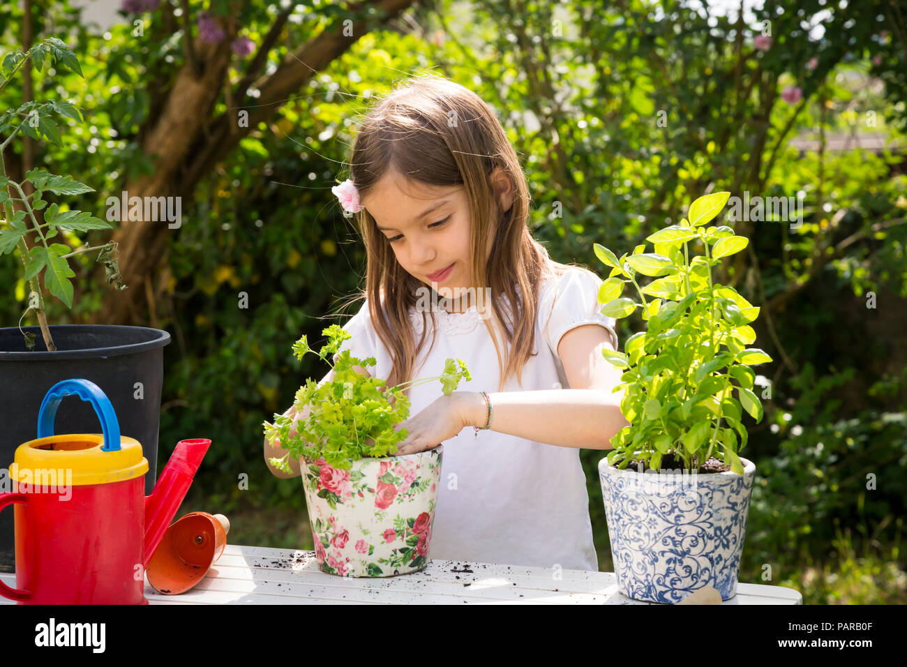 Retrato de niña macetas de perejil sobre la mesa en el jardín Foto de stock