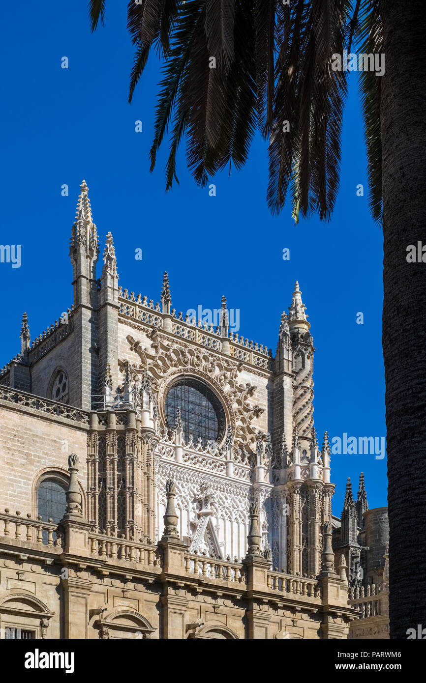 Parte de la Catedral de Sevilla, Sevilla, España, Europa Foto de stock