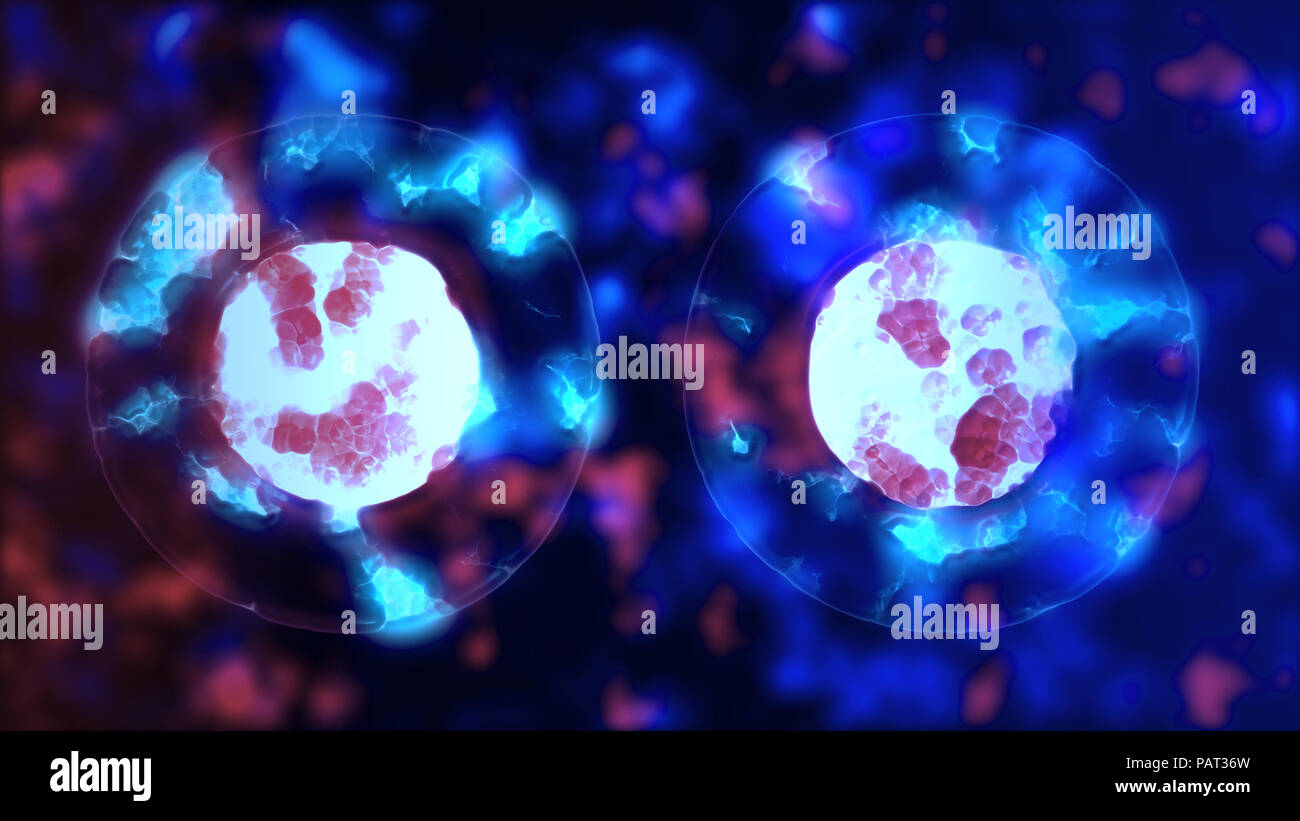 Mitosis celular. La división celular de células como lifeform. Ilustración de microbiología de células duplicar. Biología concepto científico de nacimiento y vida Foto de stock