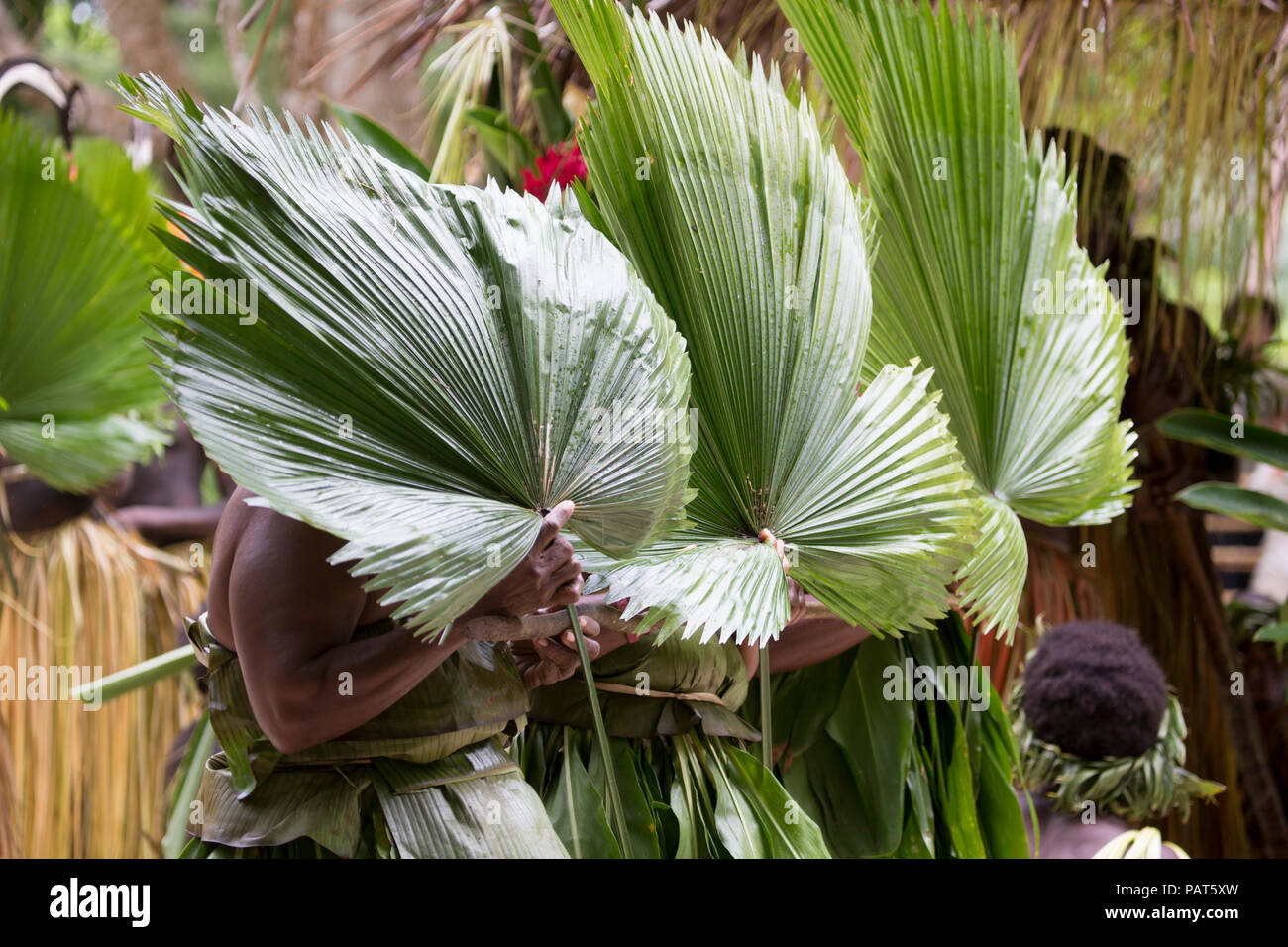 Melanesia, Vanuatu, Isla Baja, las mujeres locales llevar fronda hojas en aldea el rendimiento cultural. Foto de stock