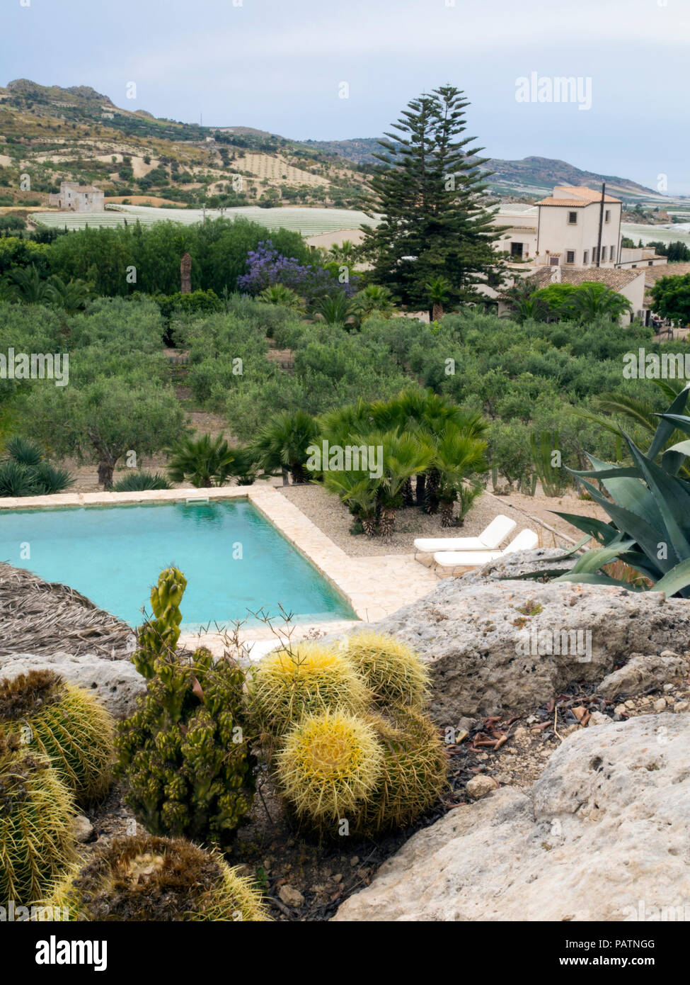 La Piscina Y Los Jardines En La Azienda Agricola Mandranova
