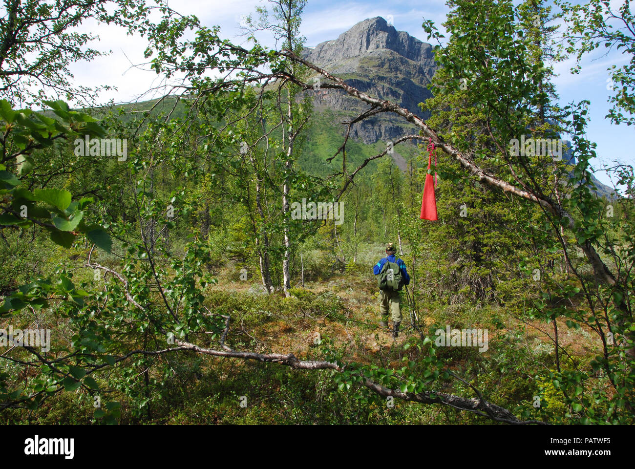 Parque Nacional denominado Sarek - senderismo montar Tjahkkelij. Jokkmokk, Norrbotten, Suecia Foto de stock
