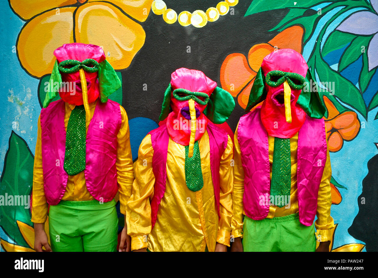 Uno de los más importantes y conocido personaje es la Marimonda, originada en la ciudad de Barranquilla, este personaje está representada por sus propios movimientos de baile. El Foto de stock