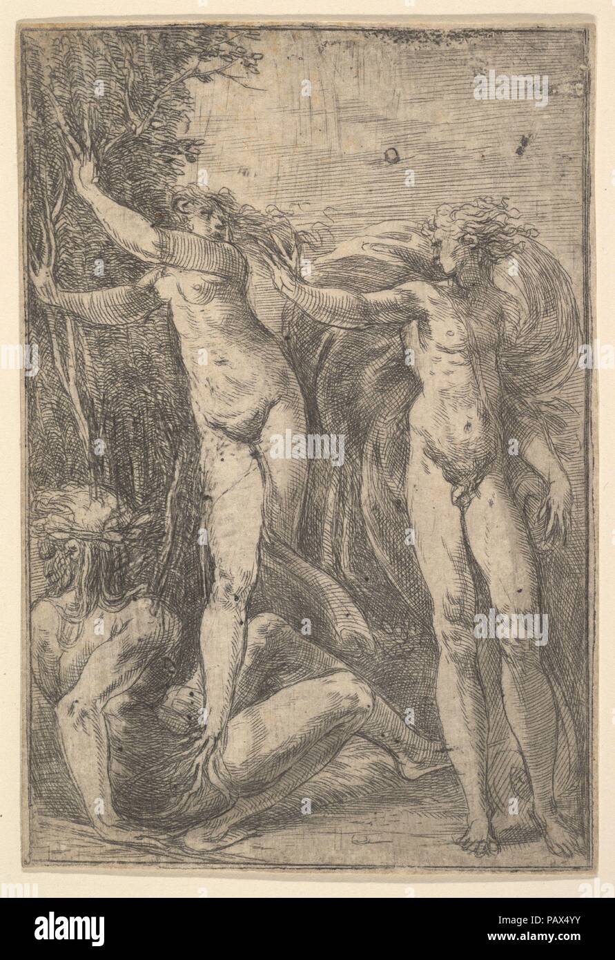 Apolo Y Dafne Artista Andrea Schiavone Andrea Meldola Italiano Zadar Zara Ca 1510 1563 De Apolo Y Dafne Artista Andrea Schiavone Andrea Meldola Italiano Zadar Zara Ca 1510 1563 De