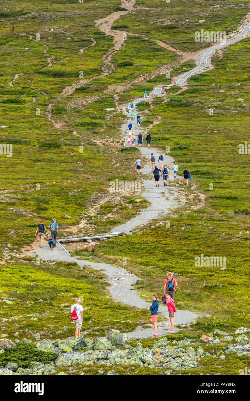 La gente está caminando por un sendero hacia la montaña Foto de stock