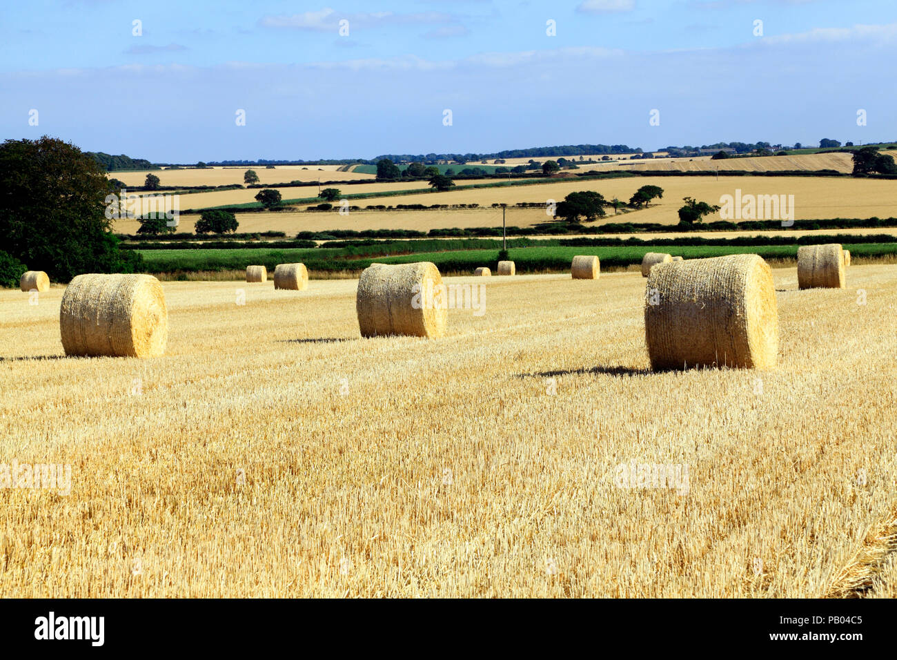 Norfolk el paisaje agrícola, los fardos de paja redondos, post-cosecha, Foto de stock