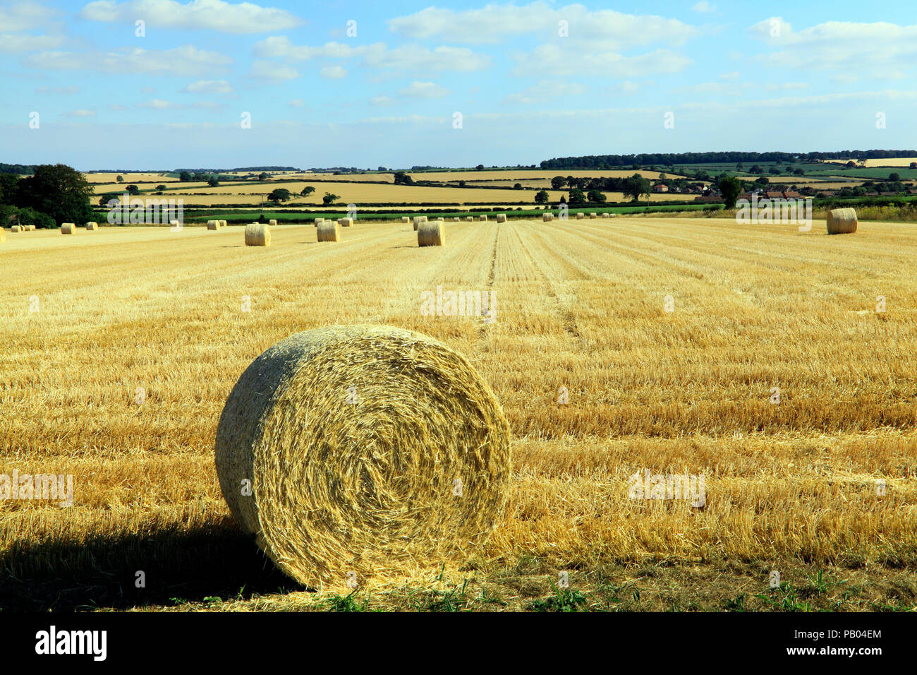 Norfolk el paisaje agrícola, los fardos de paja redondos, post-cosecha, Foto de stock