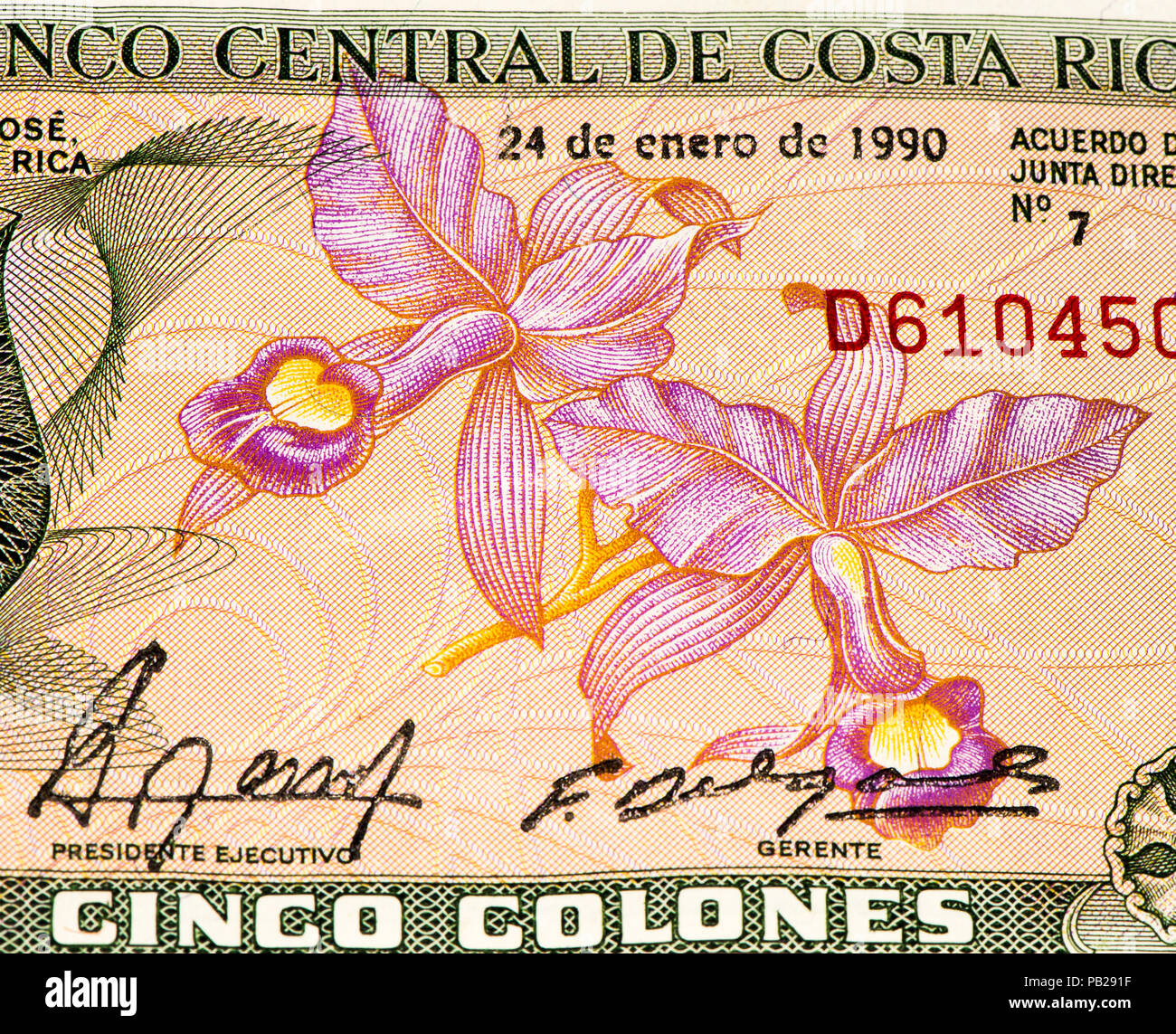 5 colones costarricenses Bank note. Colones es la moneda nacional de