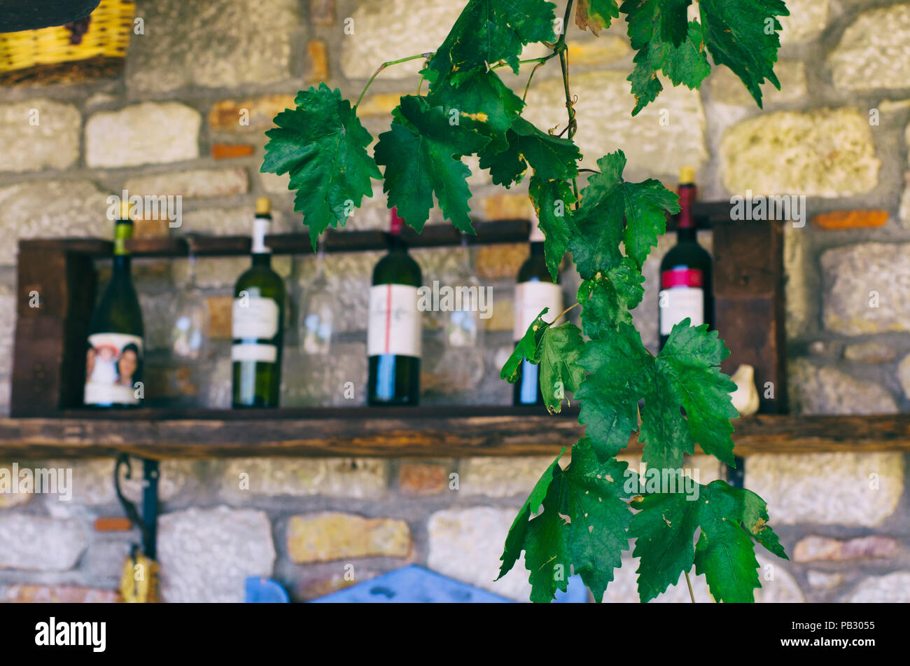 Las hojas de parra verde y el fondo borroso con botellas de vino y muro