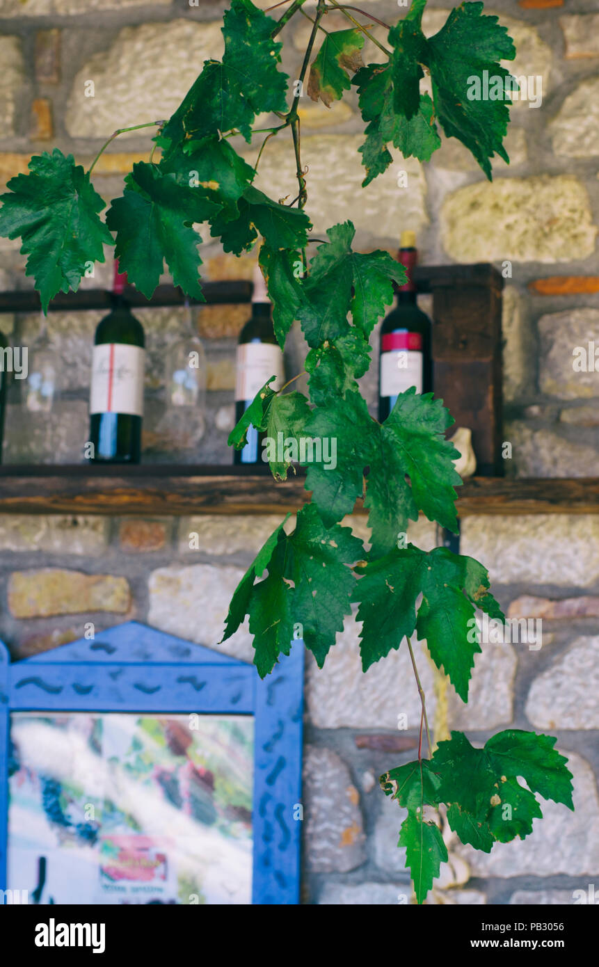 Las hojas de parra verde y el fondo borroso con botellas de vino y muro