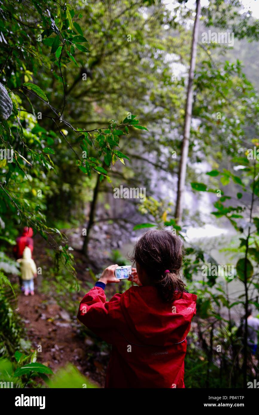 Un niño tomando una fotografía en la naturaleza, preciosos momentos, Millaa Millaa falls, Atherton Tablelands, Queensland, Australia Foto de stock