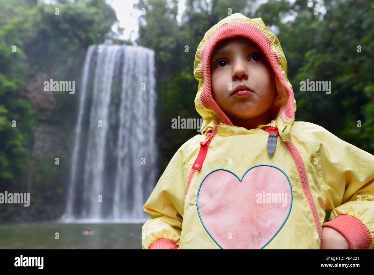 Un niño mirando impresiona en una popular atracción turística, Millaa Millaa falls, Atherton Tablelands, Queensland, Australia Foto de stock