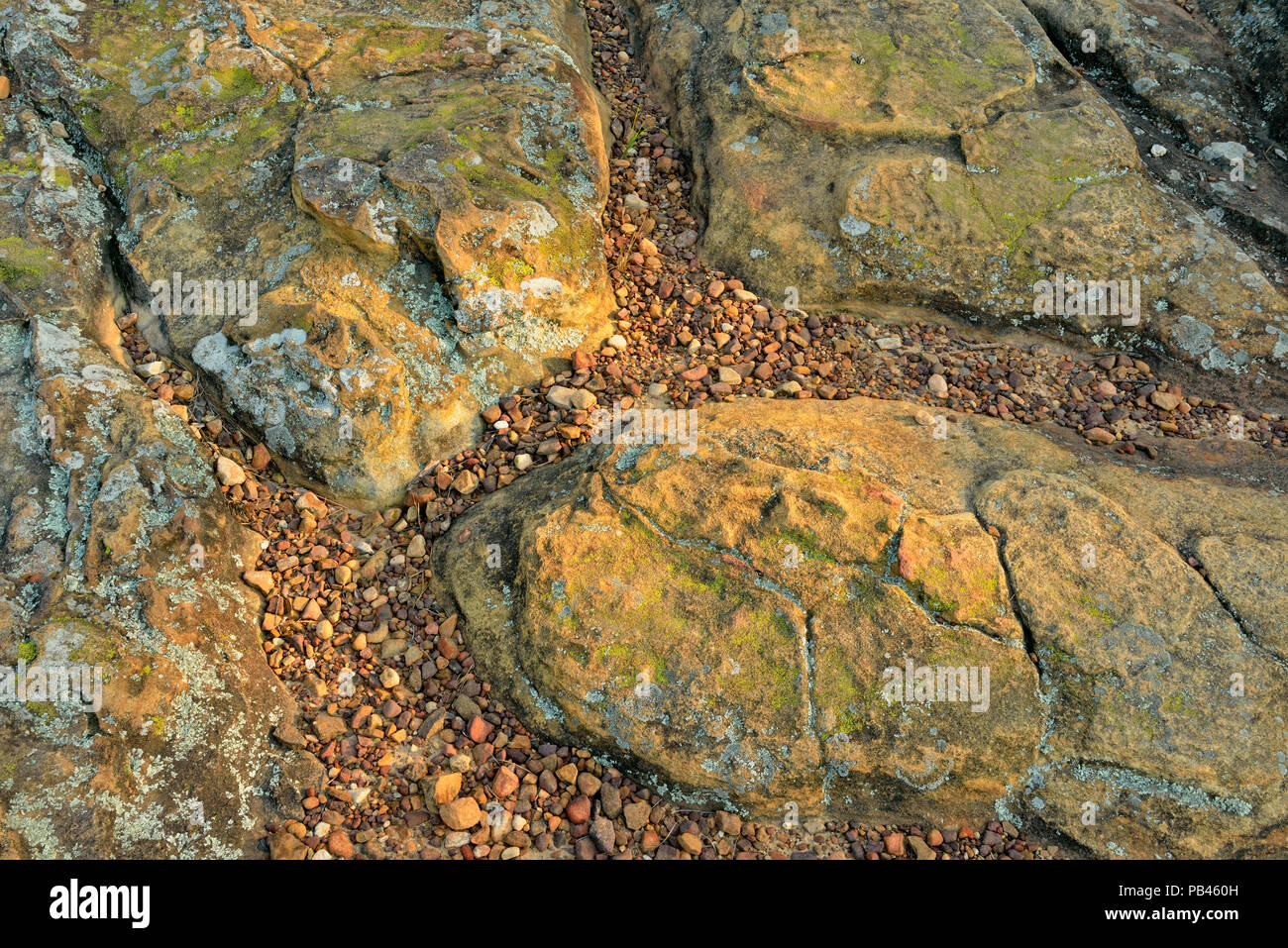 Las rocas de piedra arenisca Hartshorne erosionados en Casa rupestre Cueva- Turtle Rocks, Petit Jean State Park, Arkansas, EE.UU. Foto de stock