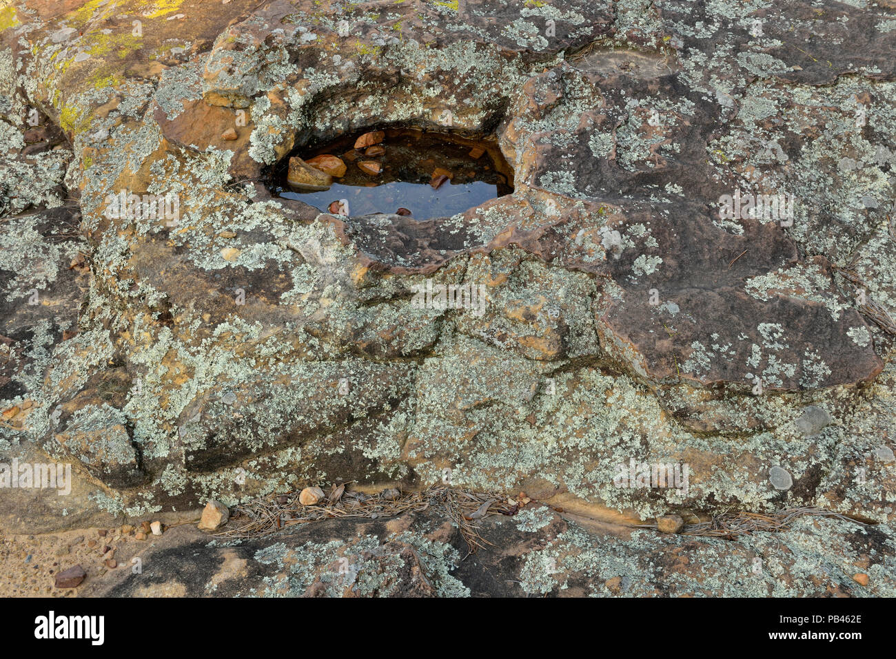 Las rocas de piedra arenisca erosionados en Casa rupestre Cueva Turtle