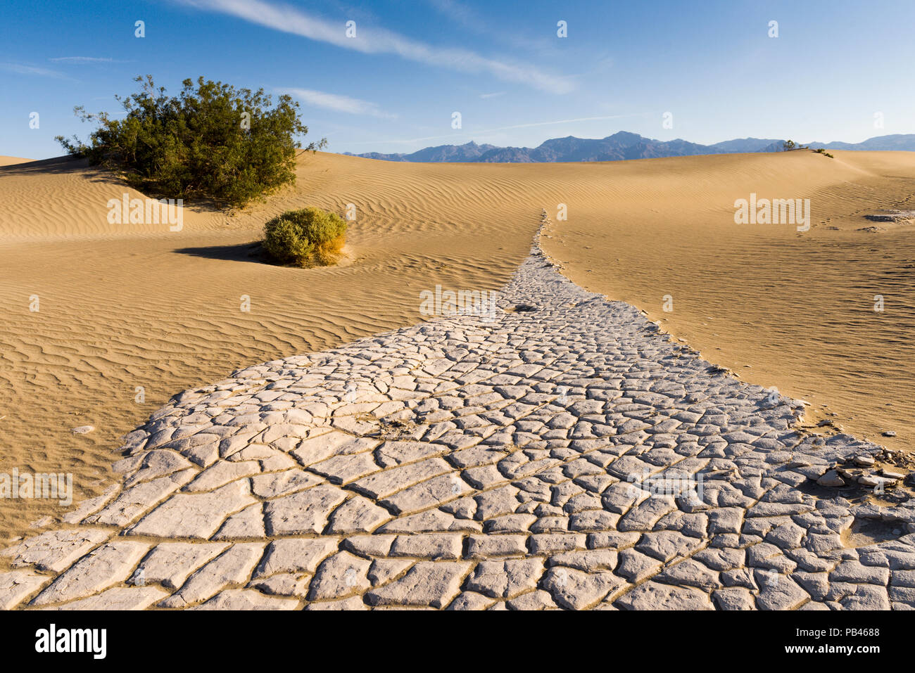 El Mesquite dunas de arena en el Parque Nacional Valle de la muerte en condiciones prístinas en la mañana después de una tormenta de viento frecuente. Foto de stock