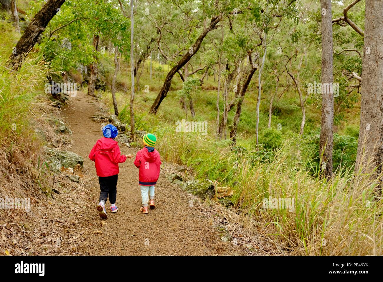 Los niños caminando por la ruta a poco millstream falls, Millstream falls national park, Atherton Tablelands, Queensland, Australia Foto de stock