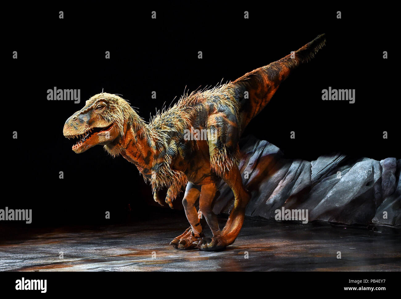 Un bebé tiranosaurio rex durante un photocall para el Walking with  Dinosaurs - El escenario espectacular, en el Arena de Birmingham. Basado en  la serie de televisión de la BBC, la producción