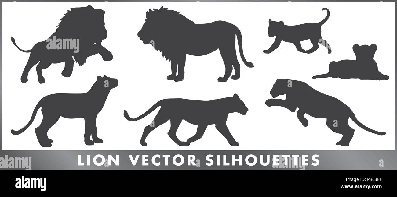 Un grupo de león silouettes - gráfico vectorial. Ilustración del Vector