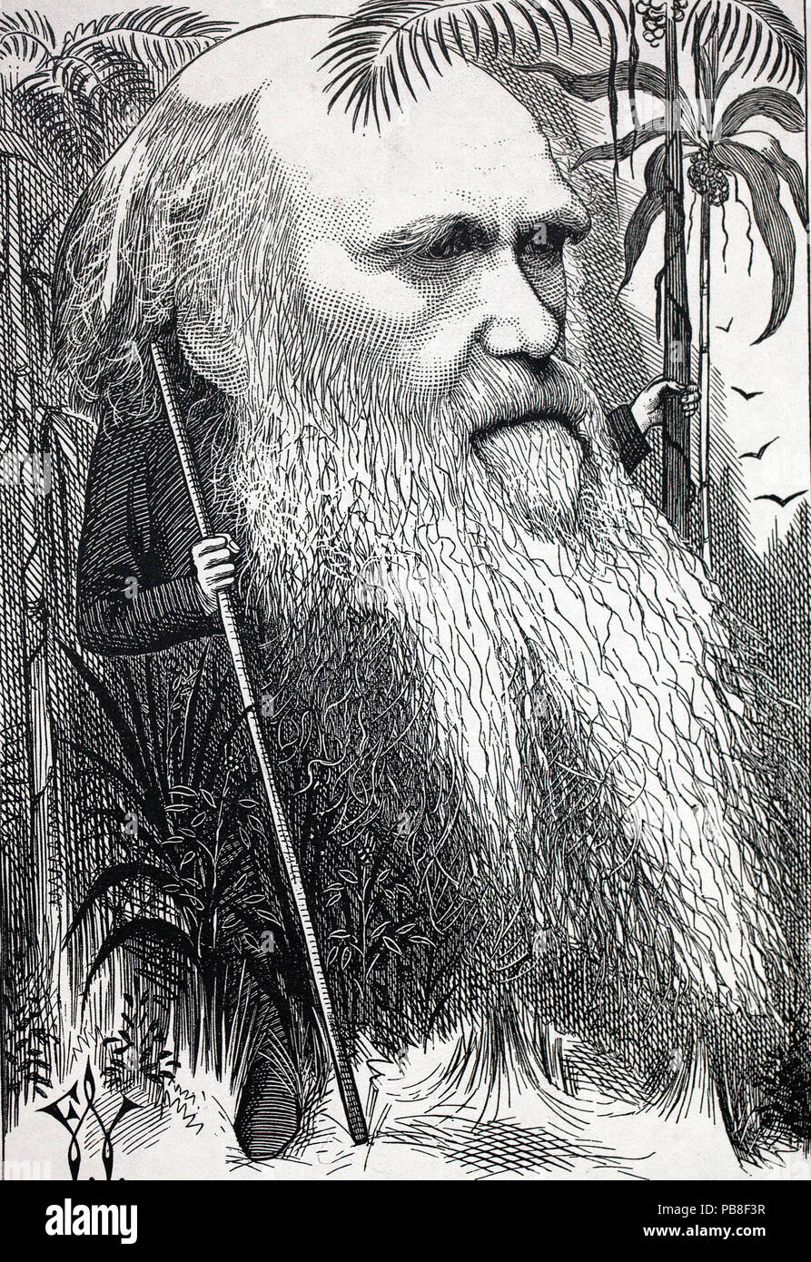 Darwin en el bosque - histórico caricatura de Charles Darwin, titulada 