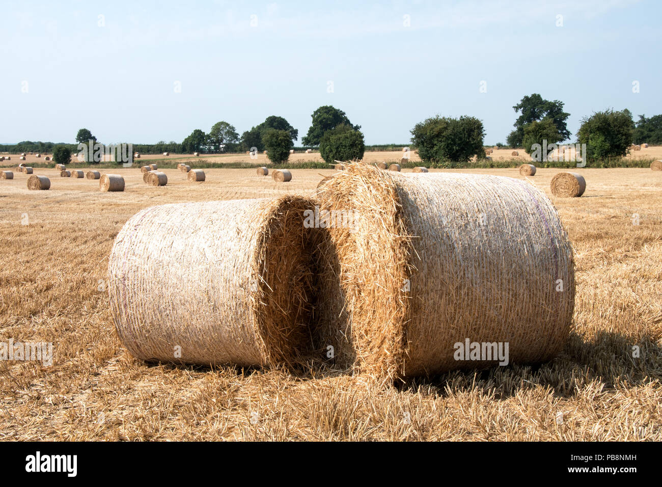 Maidstone, Kent, UK. Viernes 27 de julio de 2018. Maidstone Kent, Reino  Unido. La ola de calor continúa. La cosecha ha sido traído y ahora los  fardos de paja y tierra hornear