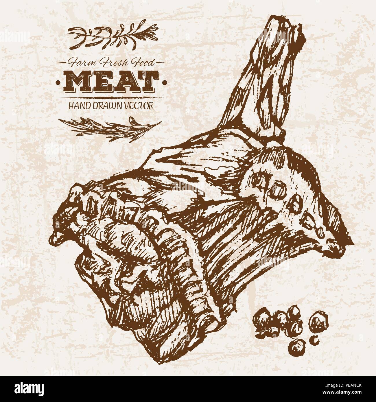 Croquis dibujados a mano steak productos cárnicos con costillas, granja  alimentos frescos, en blanco y negro vintage ilustración, dibujo sencillo  Imagen Vector de stock - Alamy