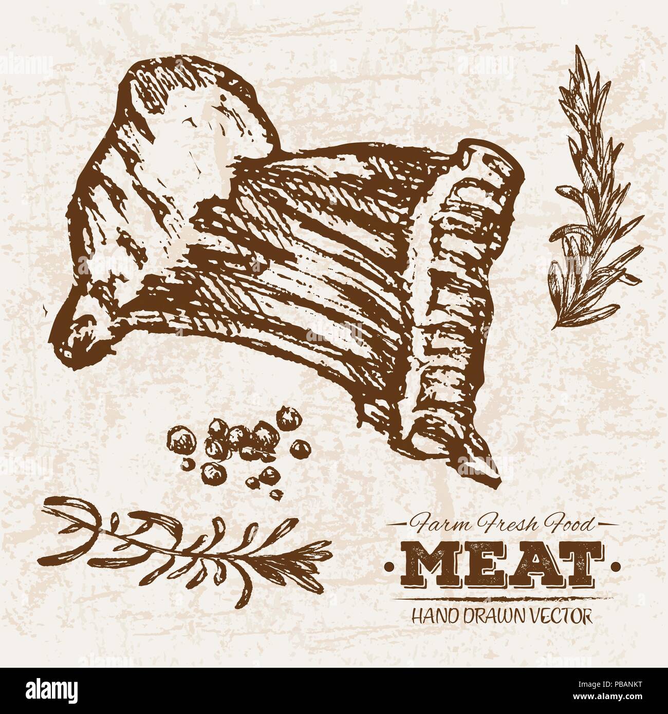 Croquis dibujados a mano steak productos cárnicos con costillas, granja alimentos frescos, en blanco y negro vintage ilustración, dibujo sencillo Imagen Vector de stock - Alamy Croquis dibujados a mano steak productos cárnicos con costillas, granja alimentos frescos, en blanco y negro vintage ilustración, dibujo sencillo Imagen Vector de stock - Alamy