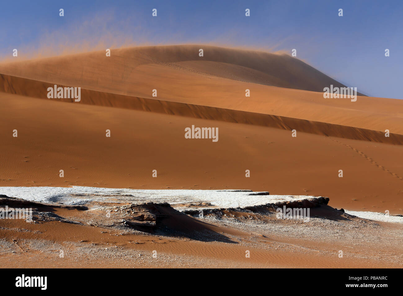 Big Daddy, a 325m de la duna de arena más alta del mundo, el desierto de Namib, en Namibia. Foto de stock