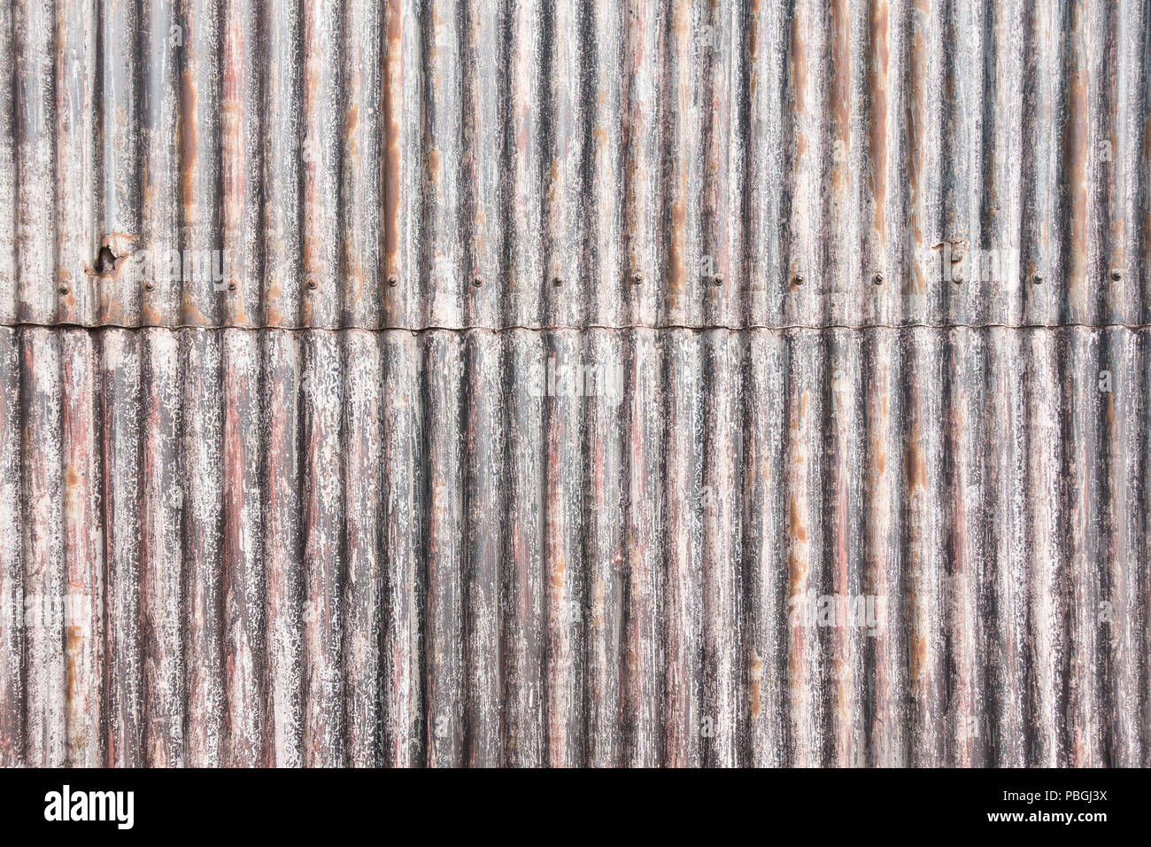 Granero de metal corrugado pared hecha de hojas se unieron por medio de tornillos Foto de stock
