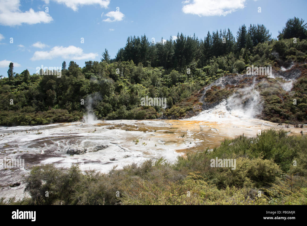 Impresionante paisaje de bosque natural con los tapetes microbianos y formación de sílice en la zona geotérmica de Orakei Korako en Rotorua, Nueva Zelanda Foto de stock