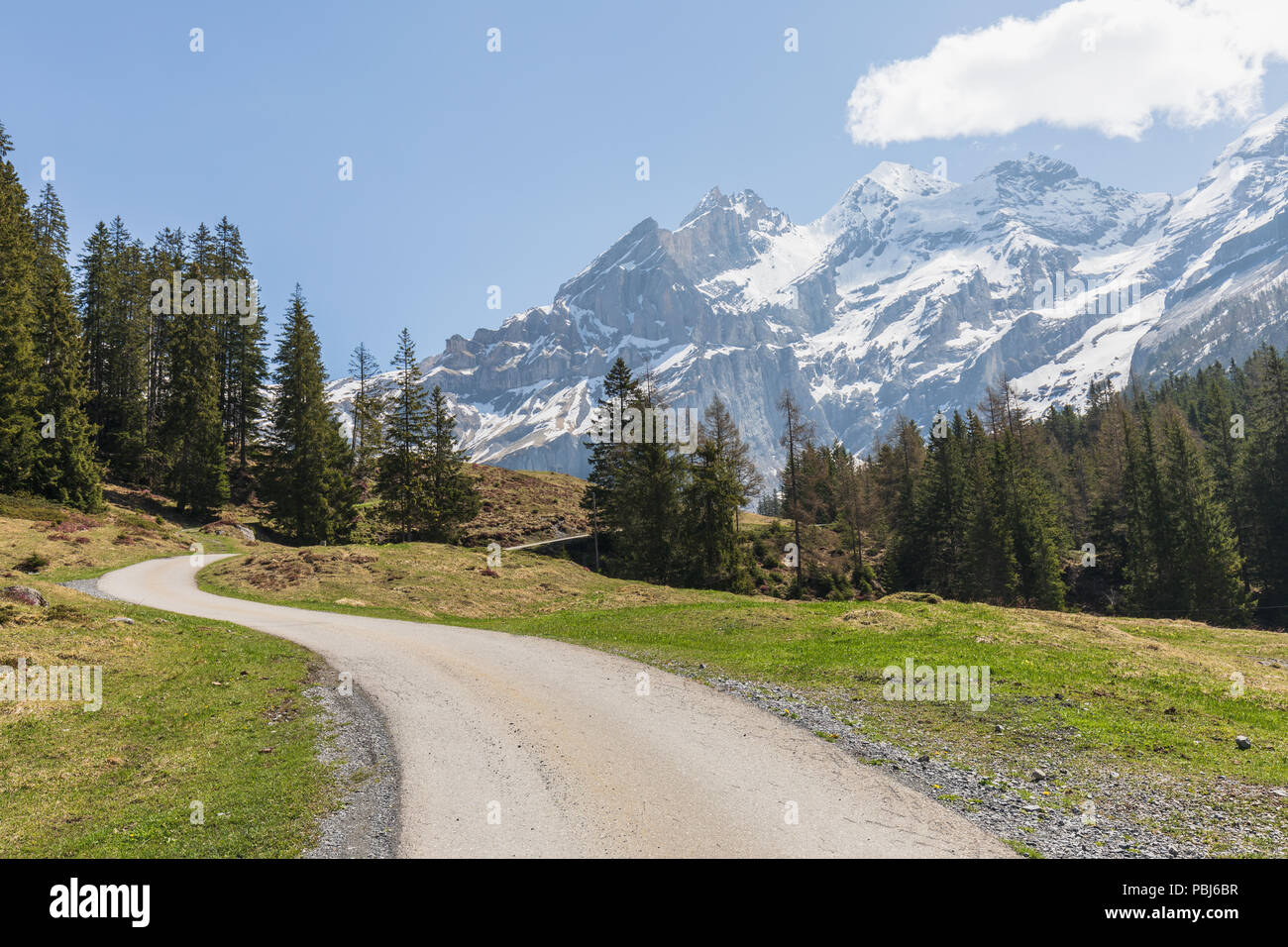 Vista panorámica de los Alpes, en una ruta de senderismo cerca de Kandersteg suiza Foto de stock