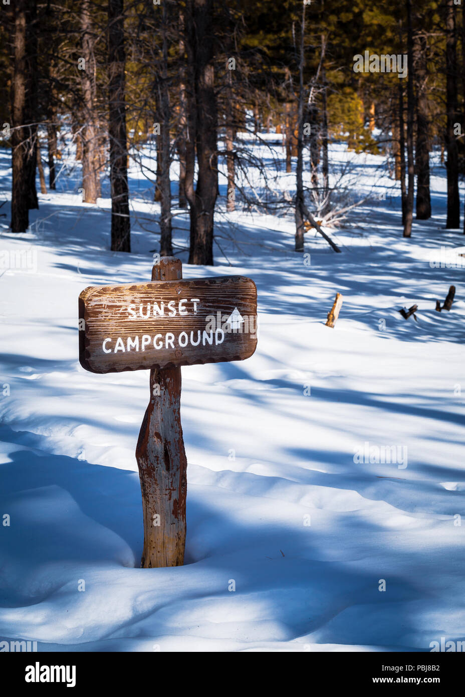 Bryce Canyon winter wonderland Foto de stock
