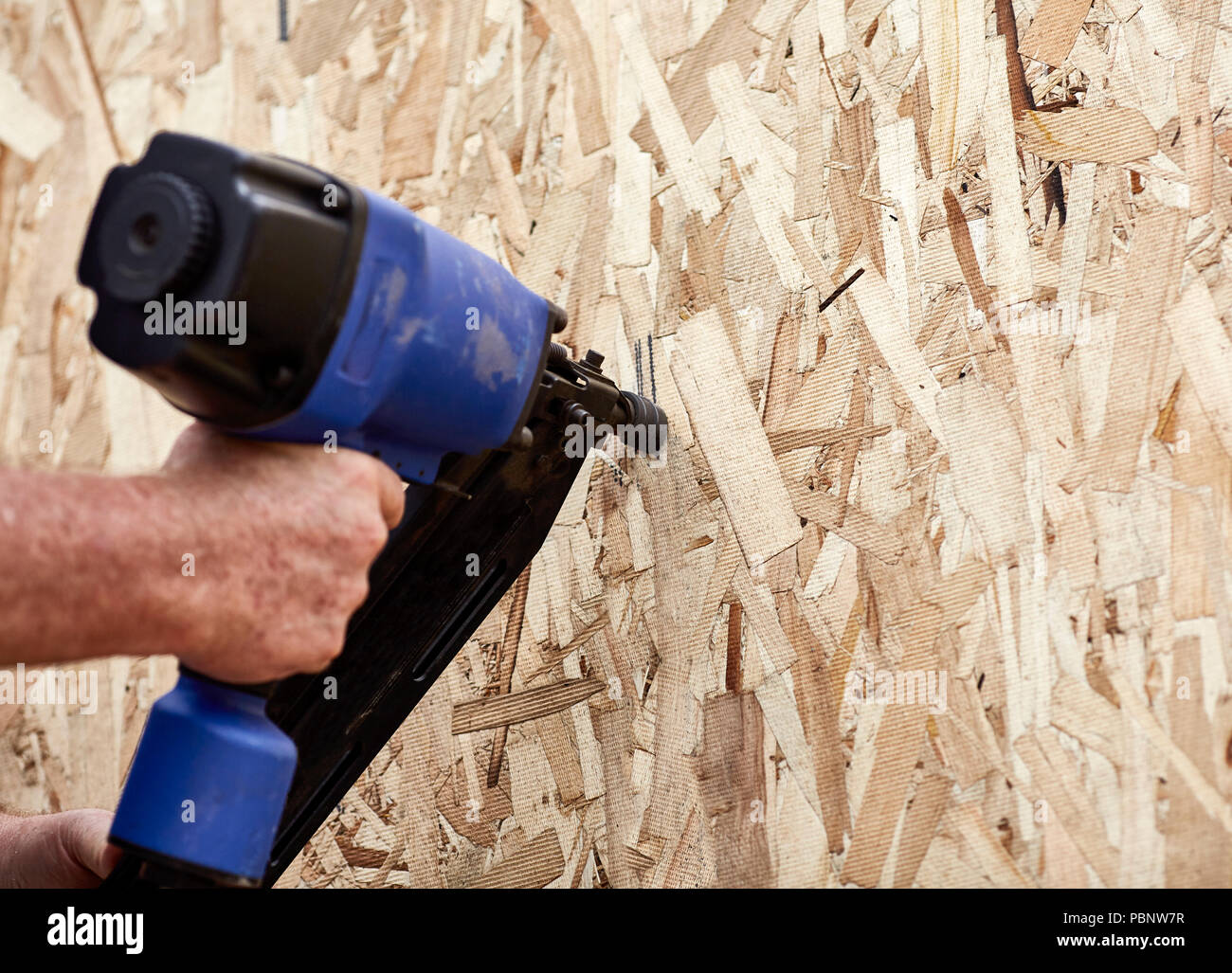 Carpintero utilizando una pistola para poner clavos en una pared nueva  Fotografía de stock - Alamy
