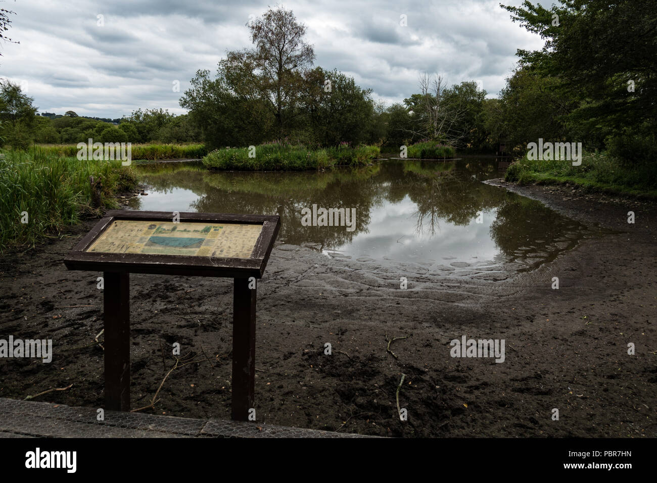 Lago de bolos y la información junta en Lockerbie Eskregg Resrve confianzas de Vida Silvestre de la naturaleza. Escocia. Foto de stock