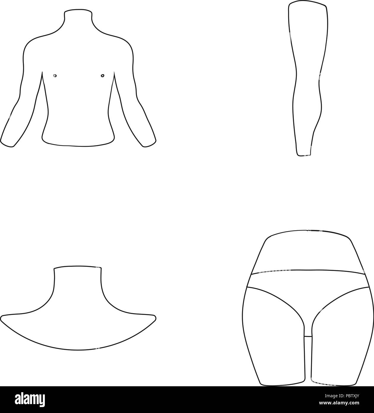 Anatomía,cuerpo,nalga,colección,humano,icono,ilustración,aislado,pierna