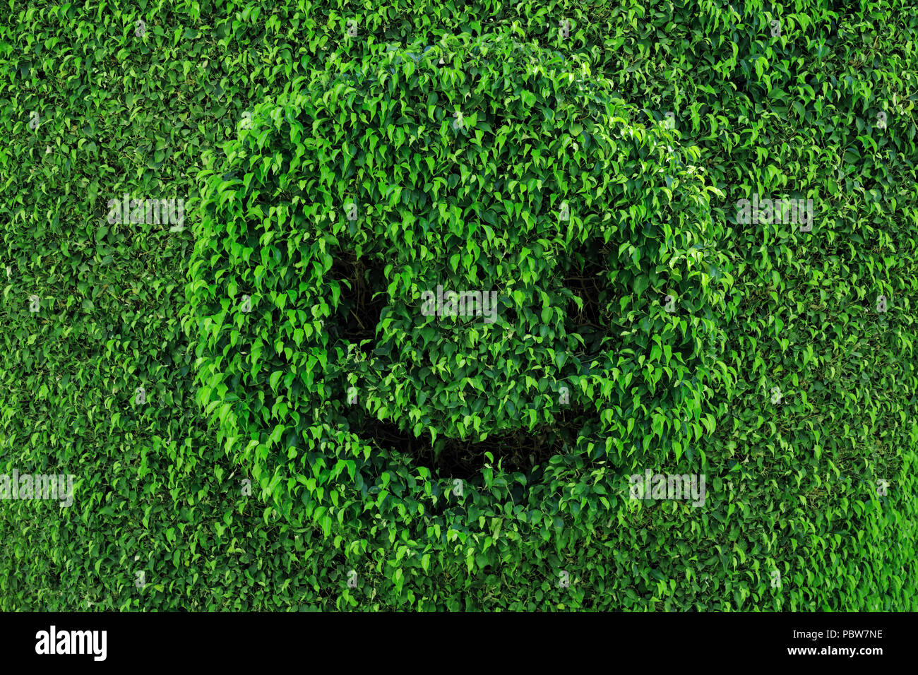 Arte topiary en la forma de una cara sonriente. Smiley emoji, hora de verano, buen humor concepto. Hojas verdes naturales resumen antecedentes. Foto de stock