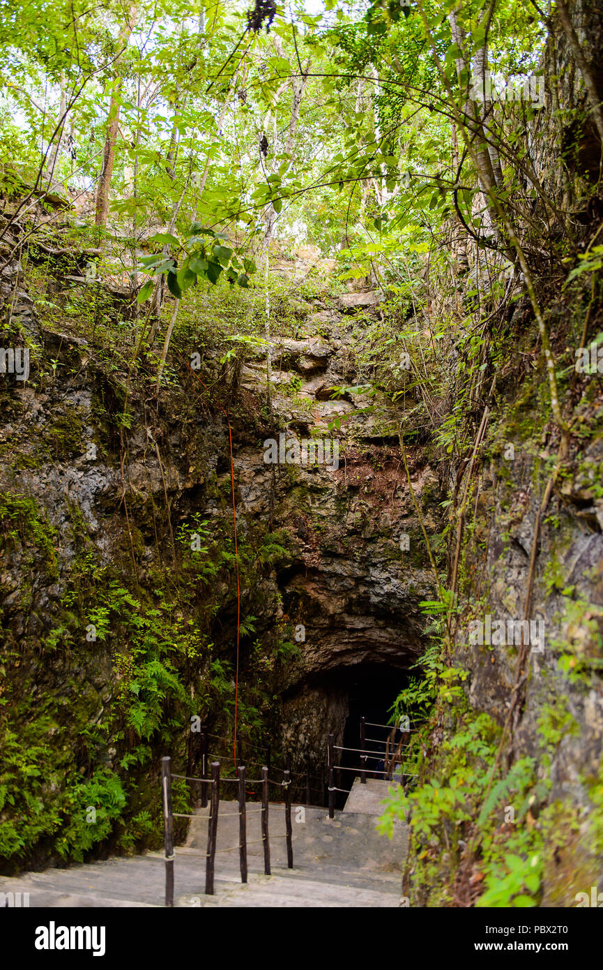 Cenote oscuro (depósito de agua subterránea) en Yucatán, México. Atracción turística popular Foto de stock