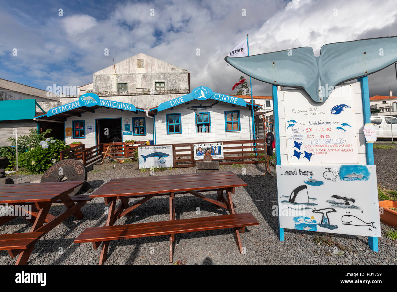 Ver cetáceos Madalena, centro de buceo en la isla de Pico, Azores, Portugal Foto de stock