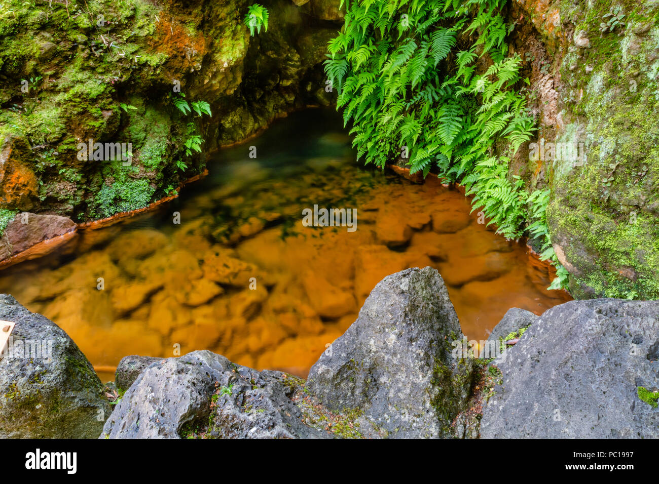 Naturaleza rica en aguas termales, minerales y un fuerte flujo de colores por doquier, Doña Beija, isla de Sao Miguel, Azores. Foto de stock