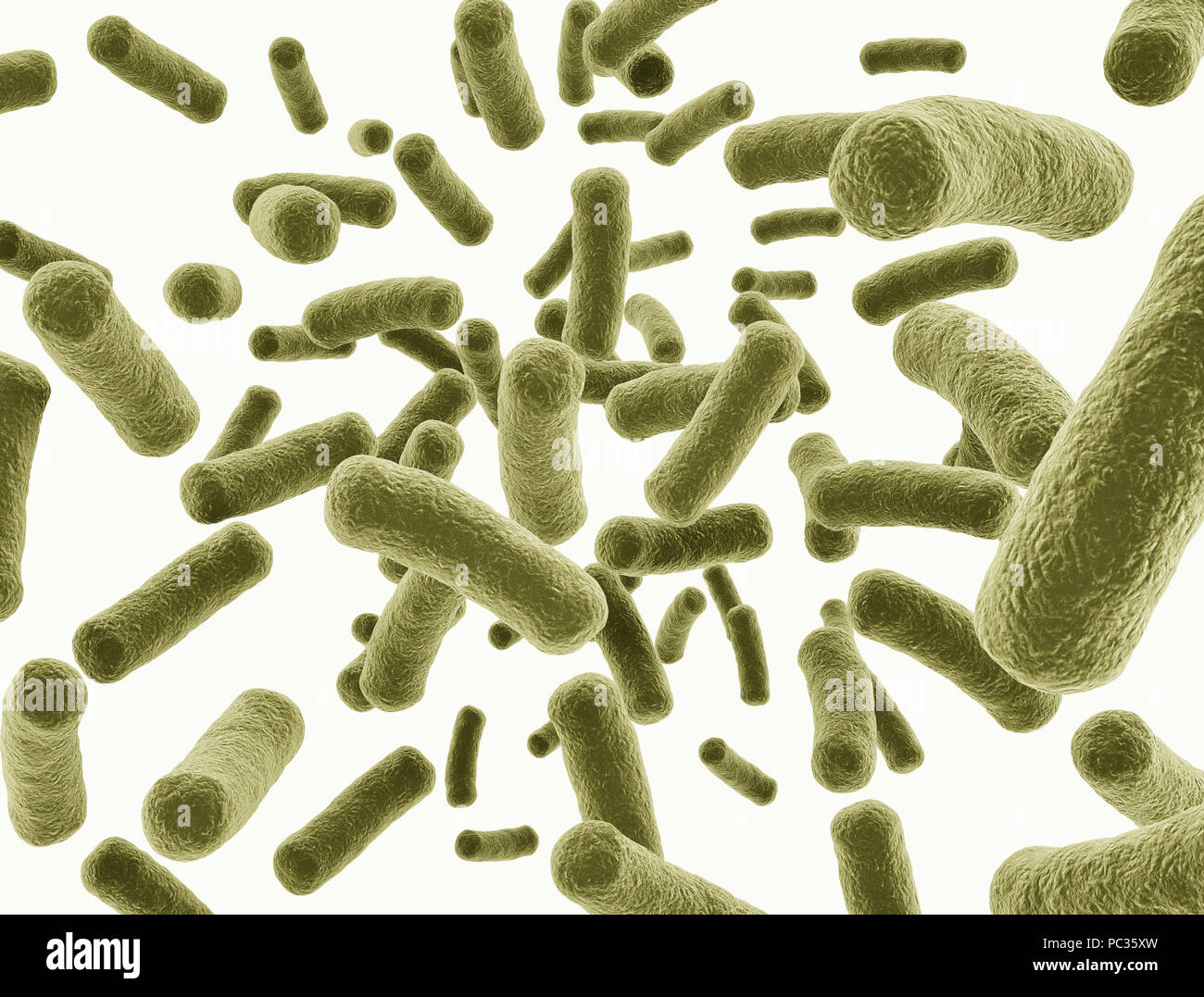 Las células bacterianas aisladas que fluyen sobre fondo blanco. Foto de stock