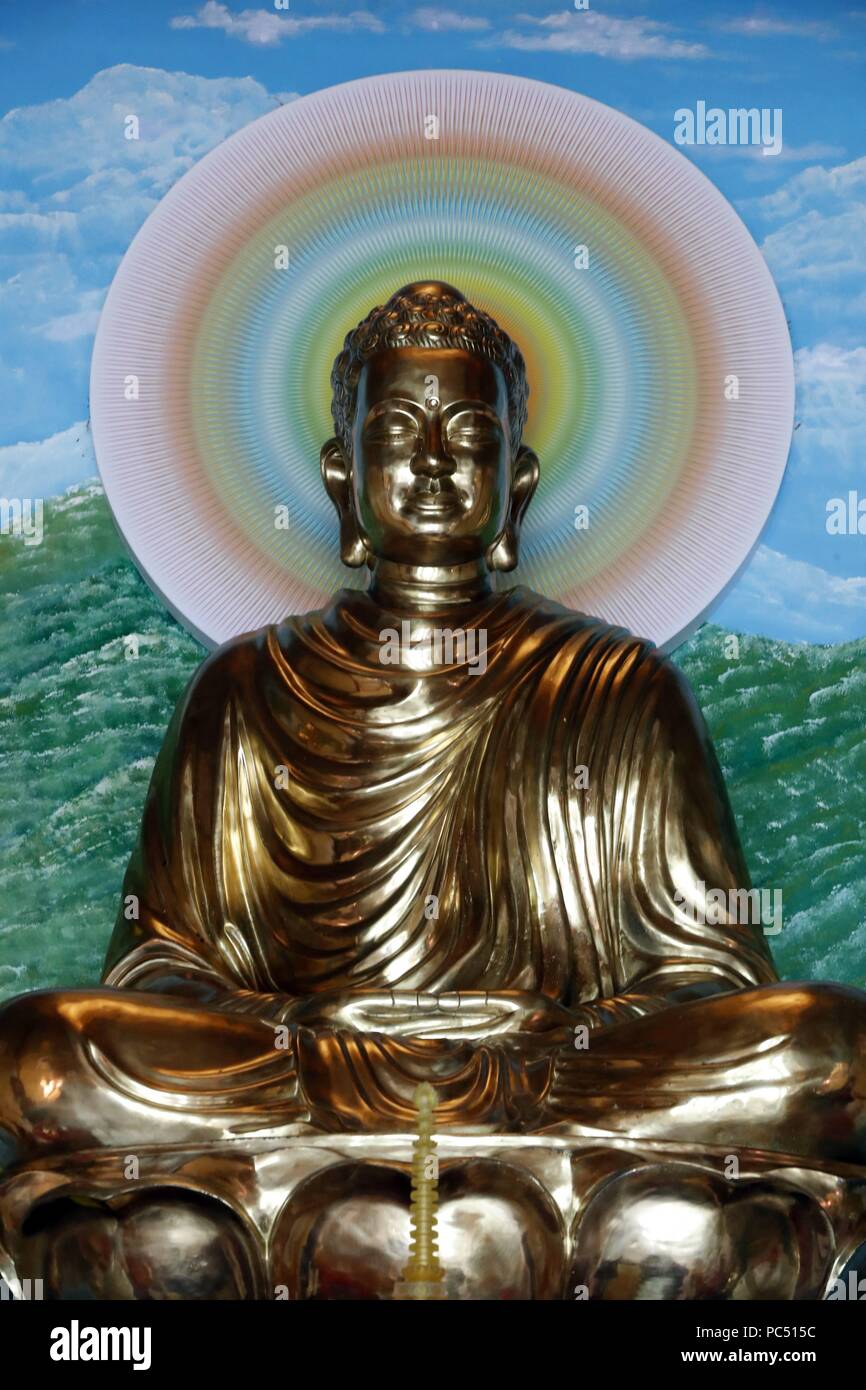 Chua Tu Quang templo budista. La estatua del Buda de oro. Postura de  meditación. Dhyana mudra. Vung Tau. Vietnam. Uso | en todo el mundo  Fotografía de stock - Alamy