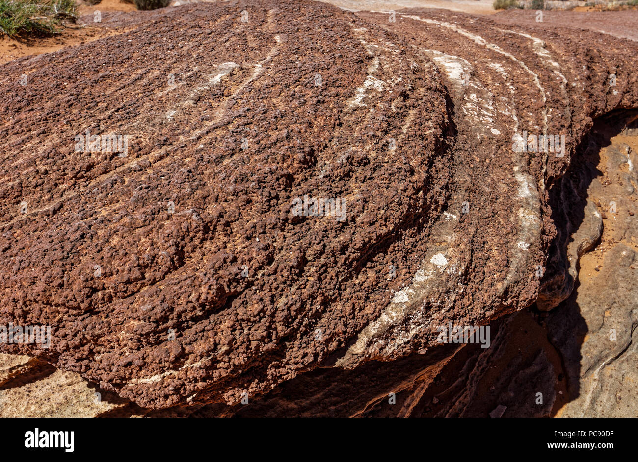 Arenisca Spherulites en Horseshoe Bend, Glen Canyon National Recreation Area, Page, Arizona Foto de stock