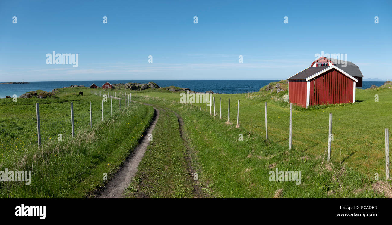 Pista de hierba hacia el mar cerca de Hov Hestegård, Noruega Foto de stock
