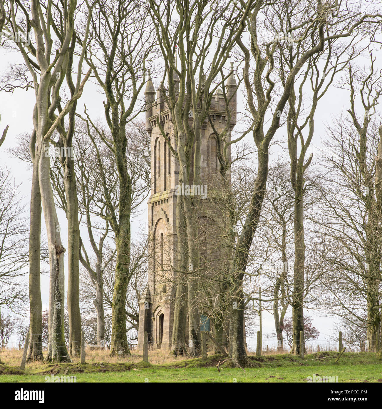 El castillo de la torre Barnweil Ayrshire William Wallace en bosques de árboles Escocia Uk Foto de stock