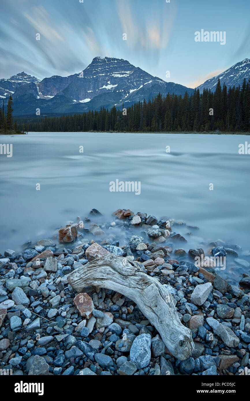 El río Athabasca, el Parque Nacional de Jasper, Sitio del Patrimonio Mundial de la UNESCO, Alberta, Canadá, Norteamérica Foto de stock