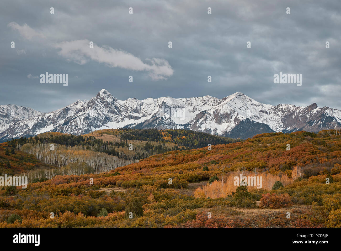 Gama Sneffels en el otoño, el Uncompahgre National Forest, Colorado, Estados Unidos de América, América del Norte Foto de stock