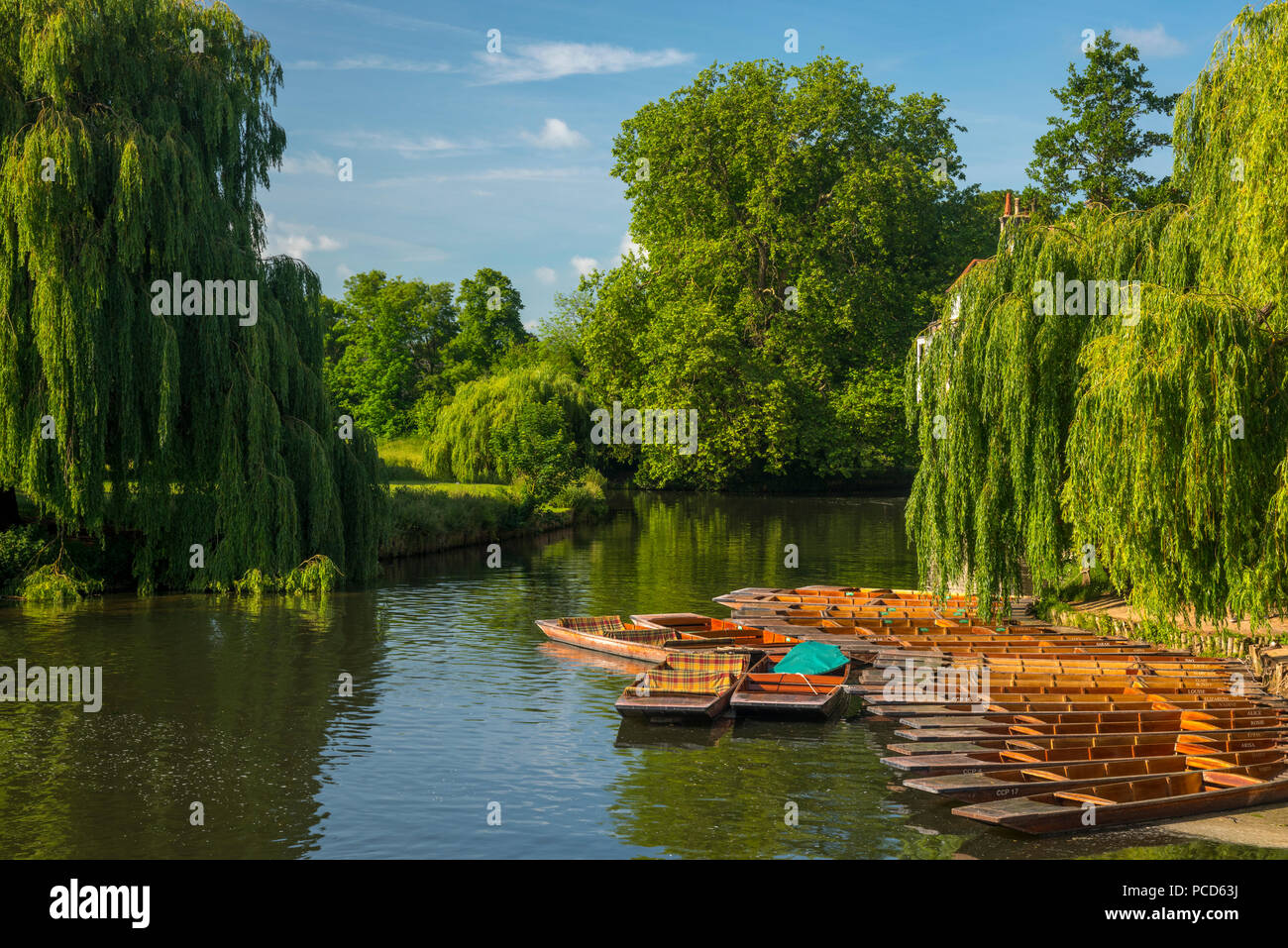 Navegar por el río Cam y Mill Pond, Cambridge, Cambridgeshire, Inglaterra, Reino Unido, Europa Foto de stock