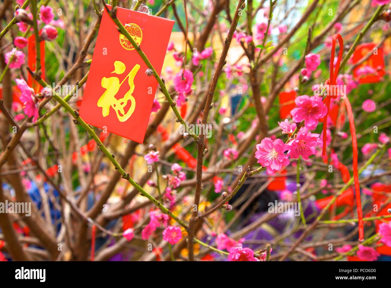 Cerezos con Lai See sobres rojos para el Año Nuevo Chino, Hong Kong, China, Asia Foto de stock