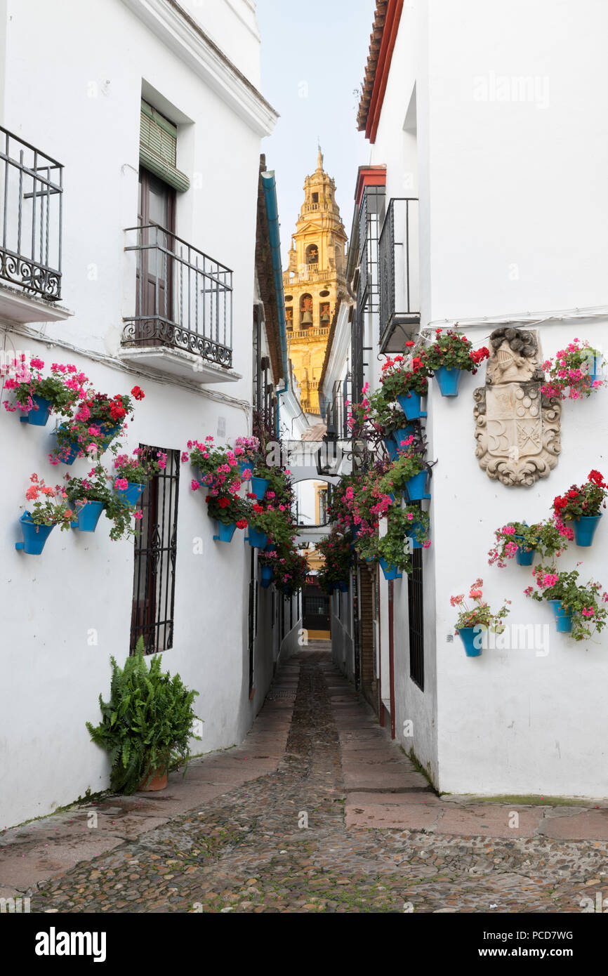 Calleja de las Flores y la Mezquita de Córdoba, Andalucia, España, Europa Foto de stock