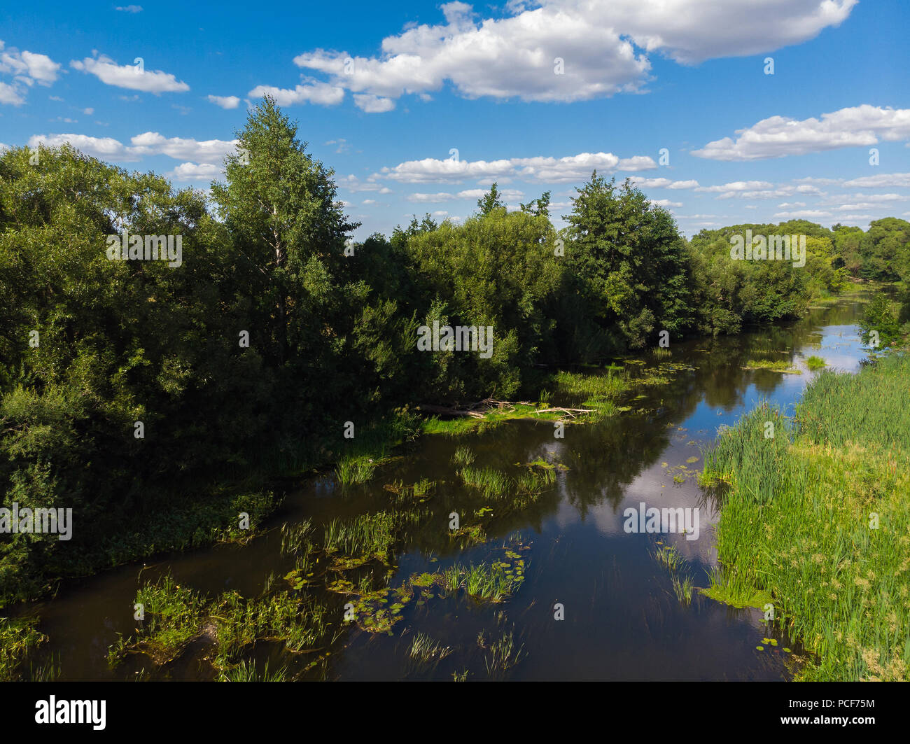 Paisaje con río de verano en Rusia Foto de stock